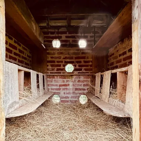 Feriehus Colombier Du Val - De Caractere Standing 4 Etoiles- Maison Cosy 3 - Terrasse - Jardin Clos - Bbq - Poules - Wifi Fibre - Refuge Lpo - 15 Min Circuit 24 Du Mans - 30 Min Zoo De La Fleche - Etape Sarthe A Velo Roeze-sur-Sarthe